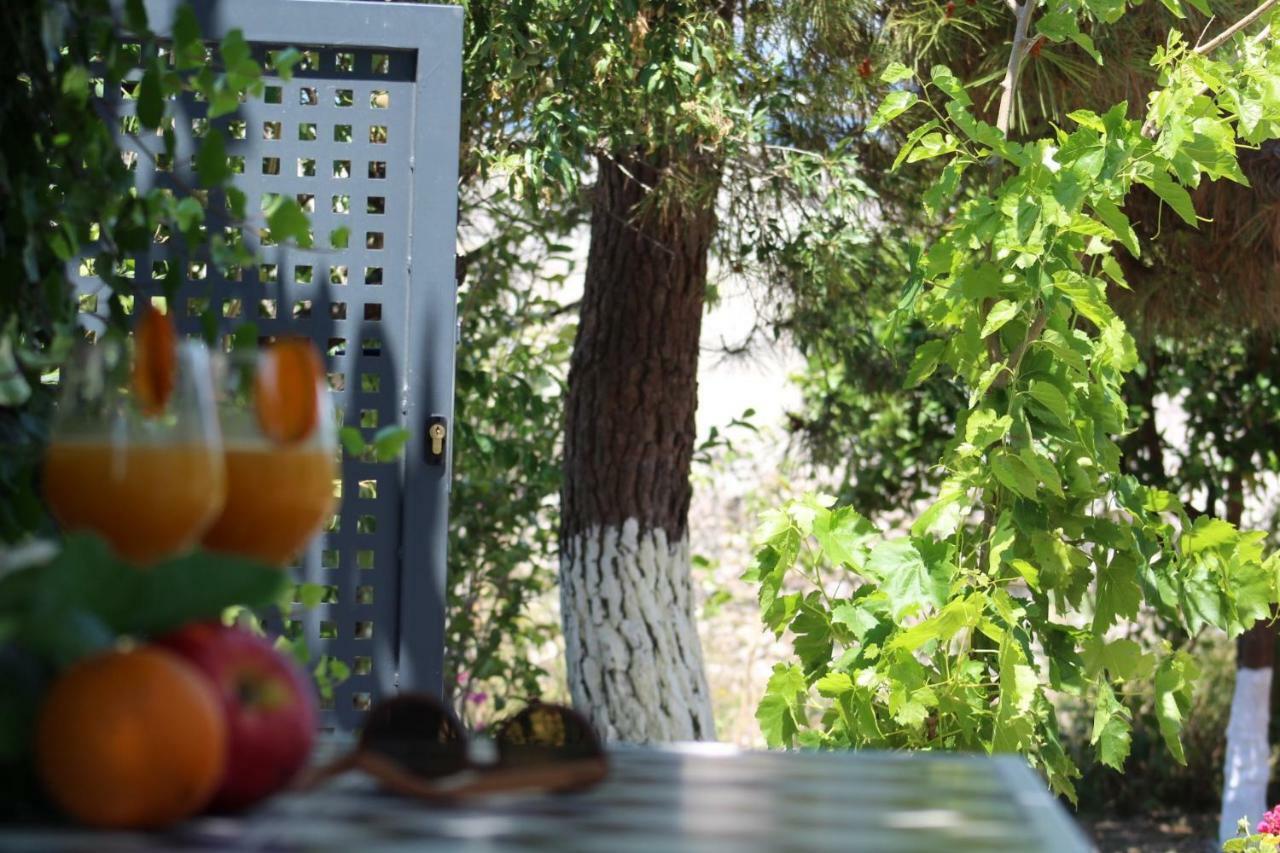 Orange Garden Villa Aigio Bagian luar foto